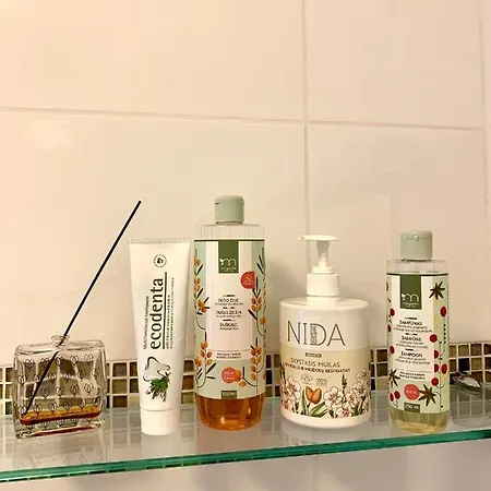 度假居 Zidinio Liepsnele *