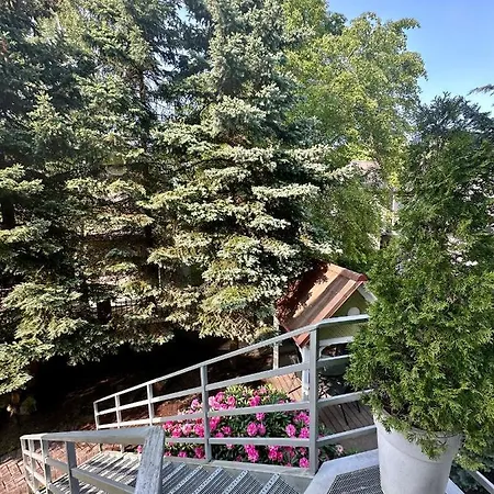 Zidinio Liepsnele Casa vacanze