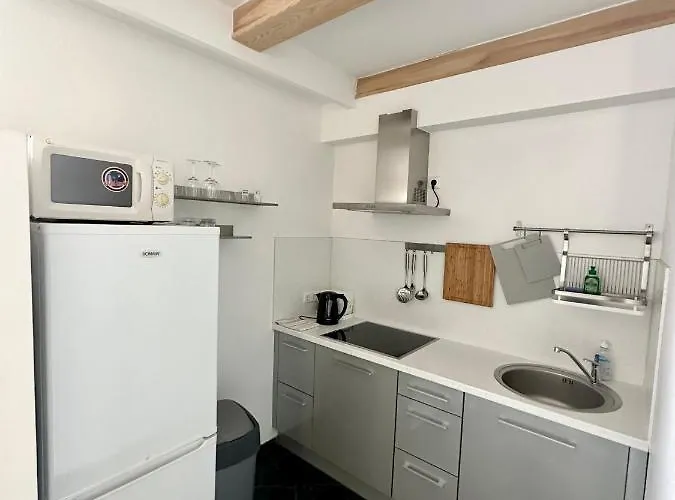 Zidinio Liepsnele Casa vacanze *