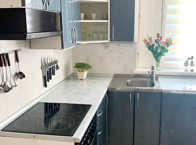 Zidinio Liepsnele 度假居